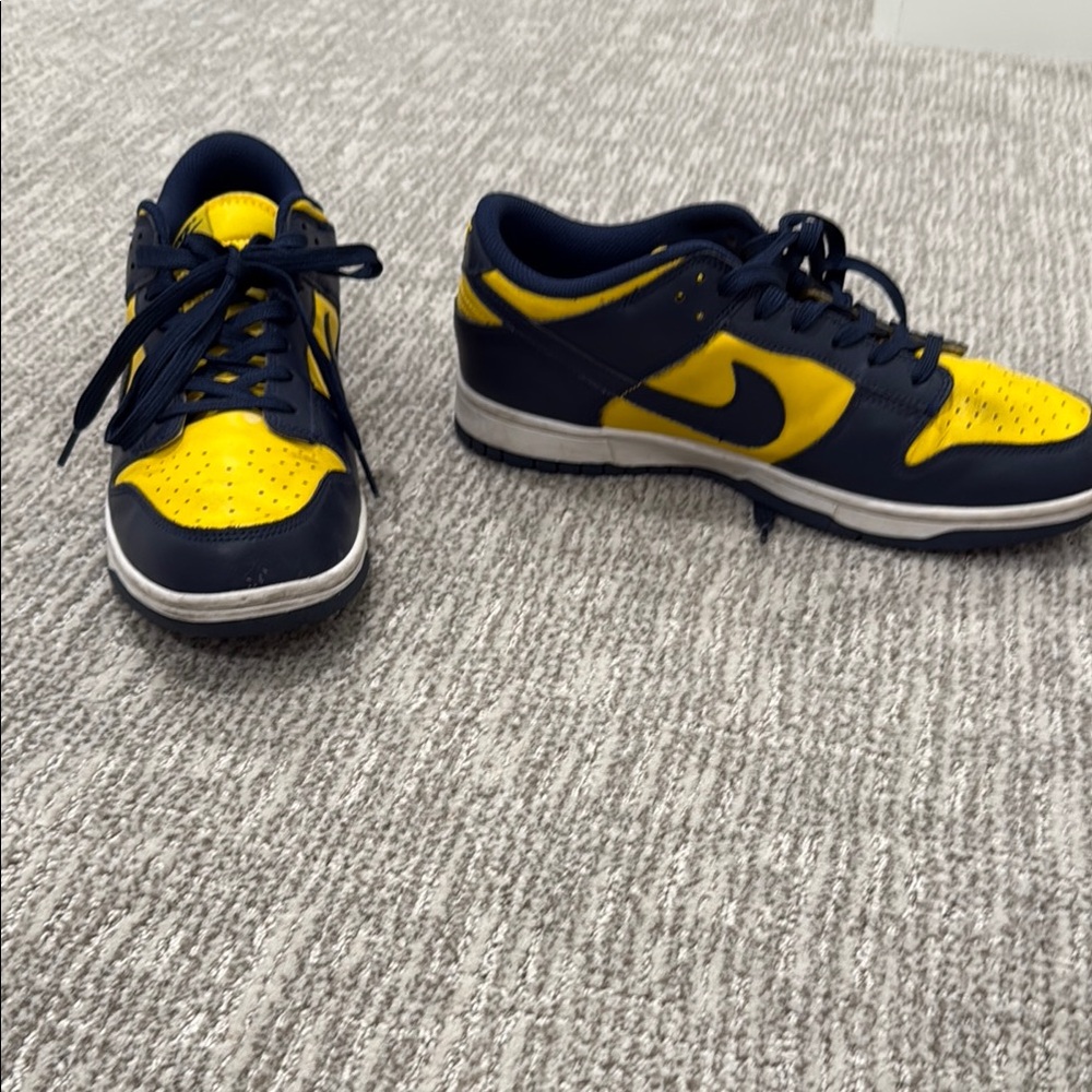 Nike Low Michigan Dunks